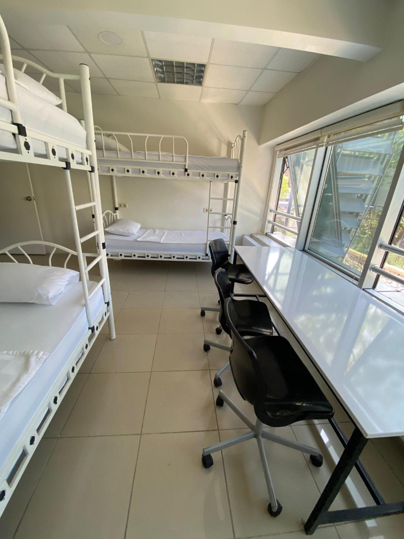 Bull Hostel