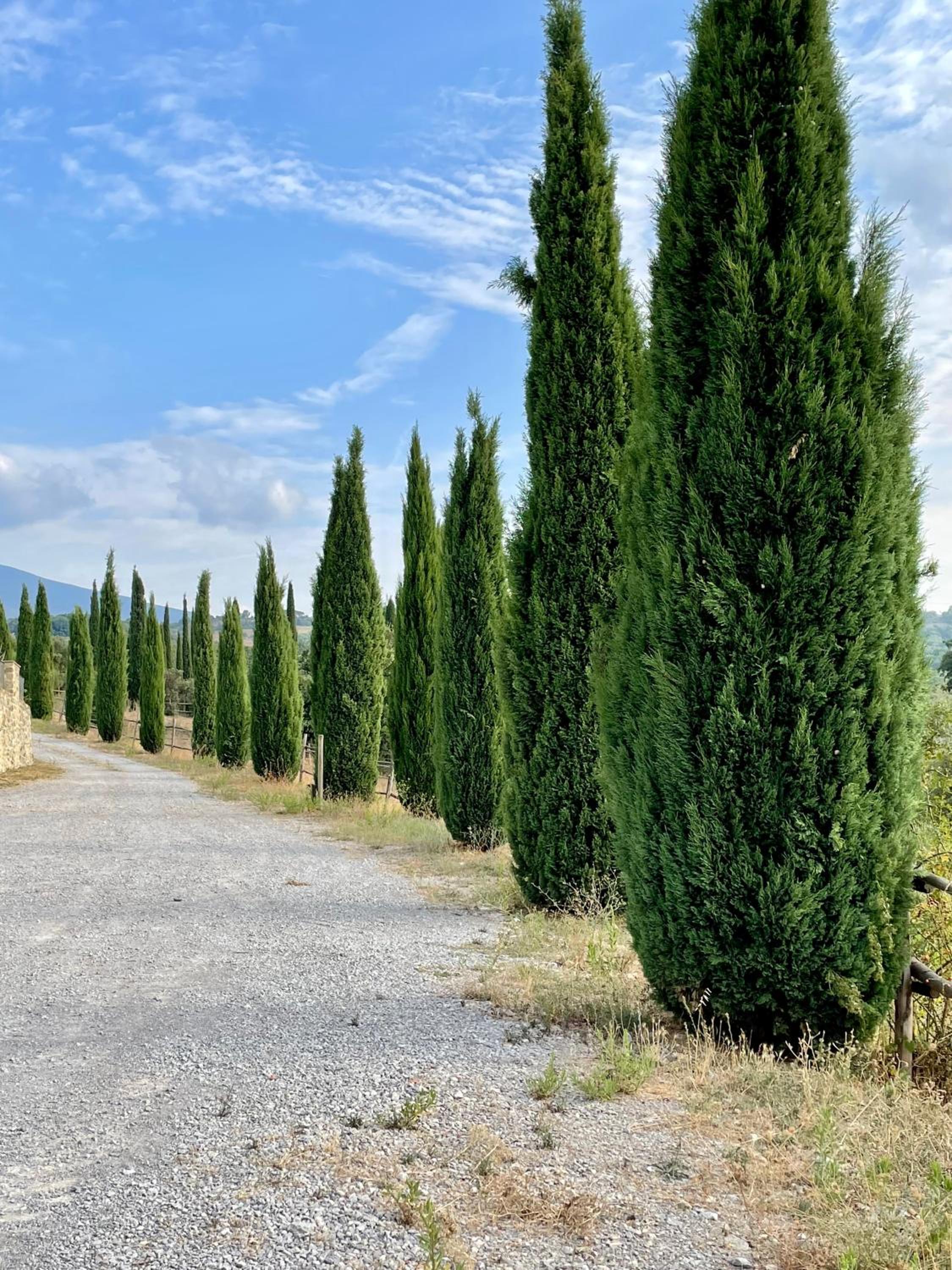 Podere Montale Winery