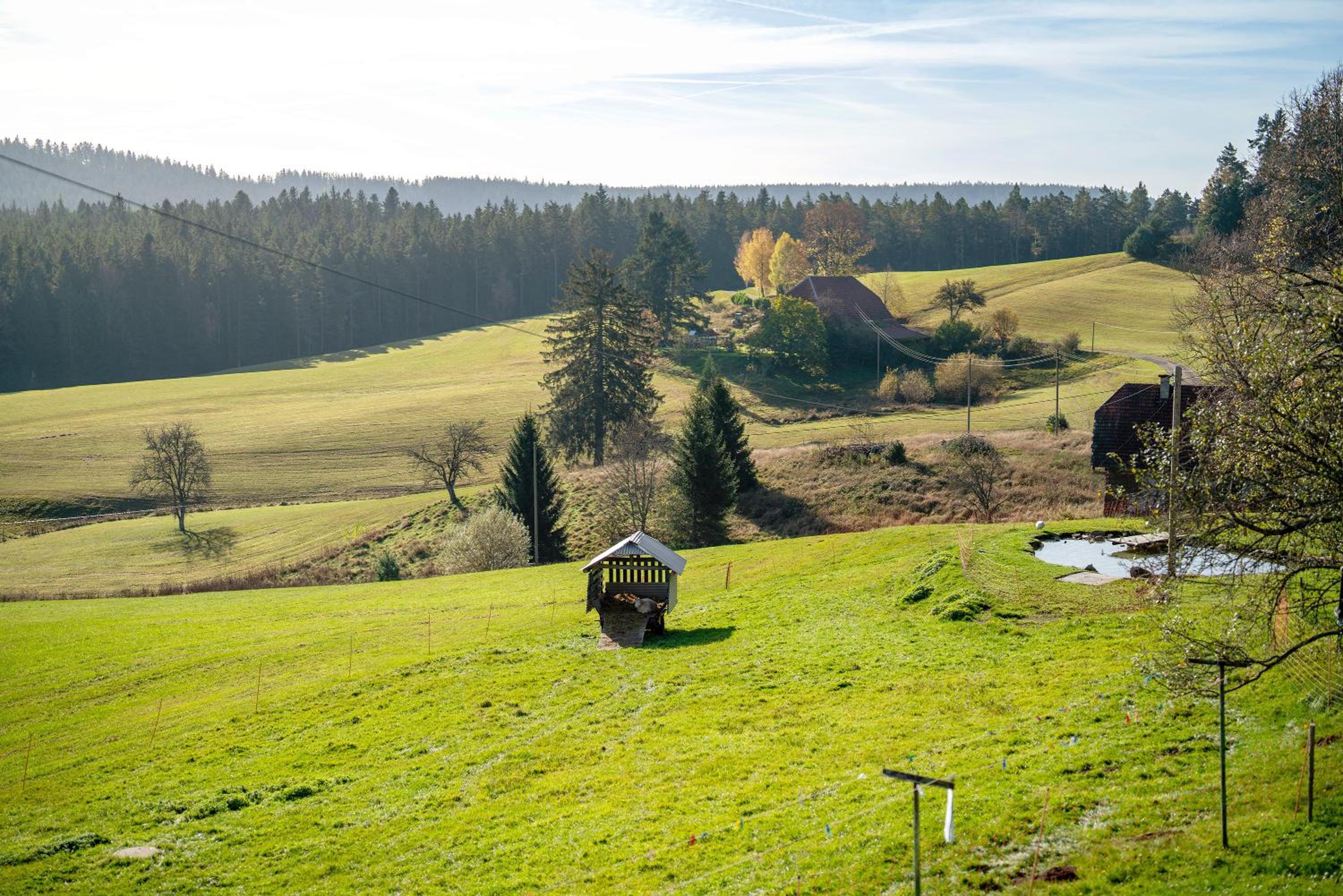Krährbauernhof mit Hofladen