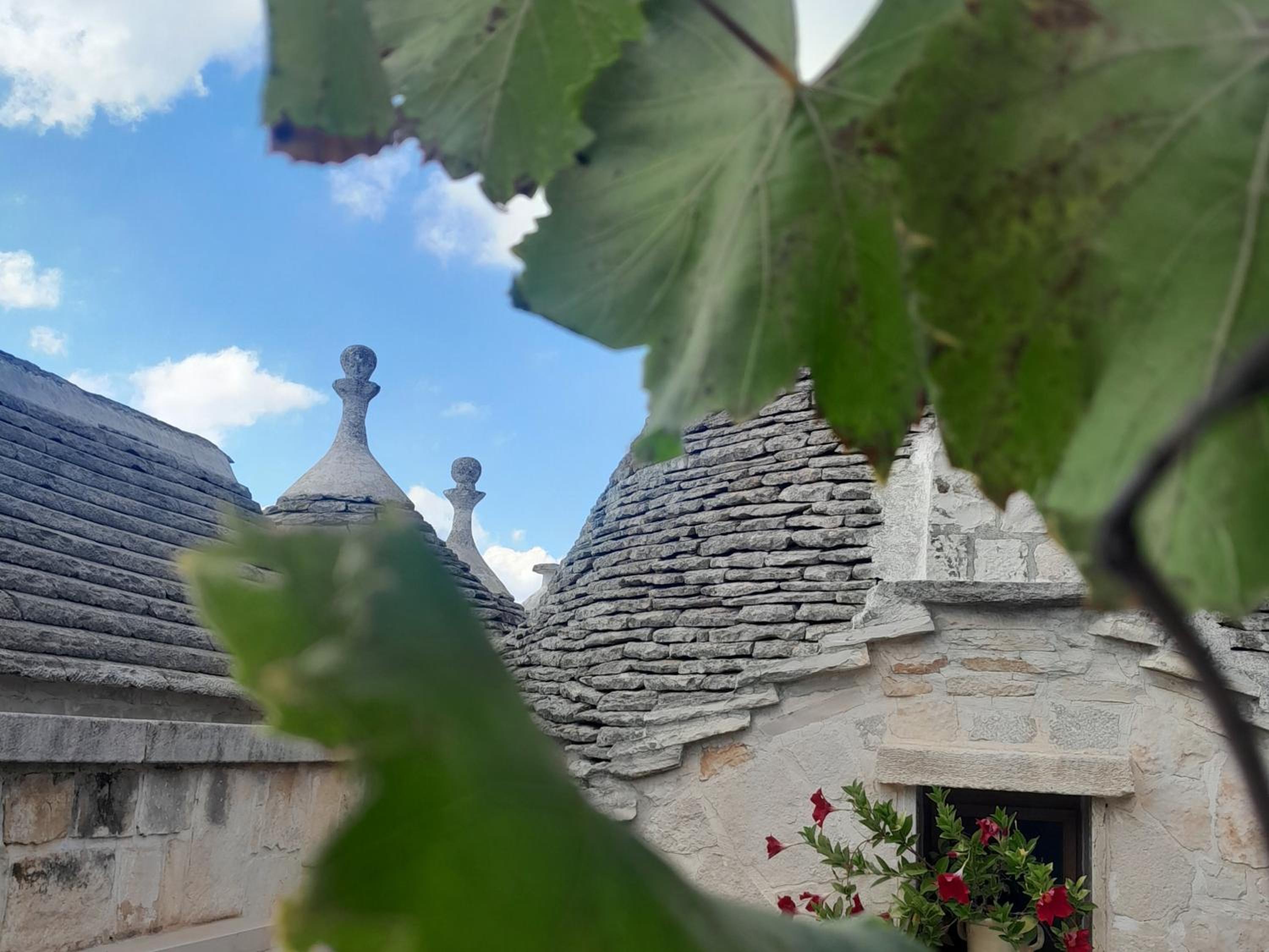B&B La Rosa dei Trulli Alberobello