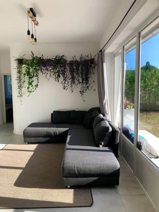 Your cosy getaway halfway between lake and forest view 3