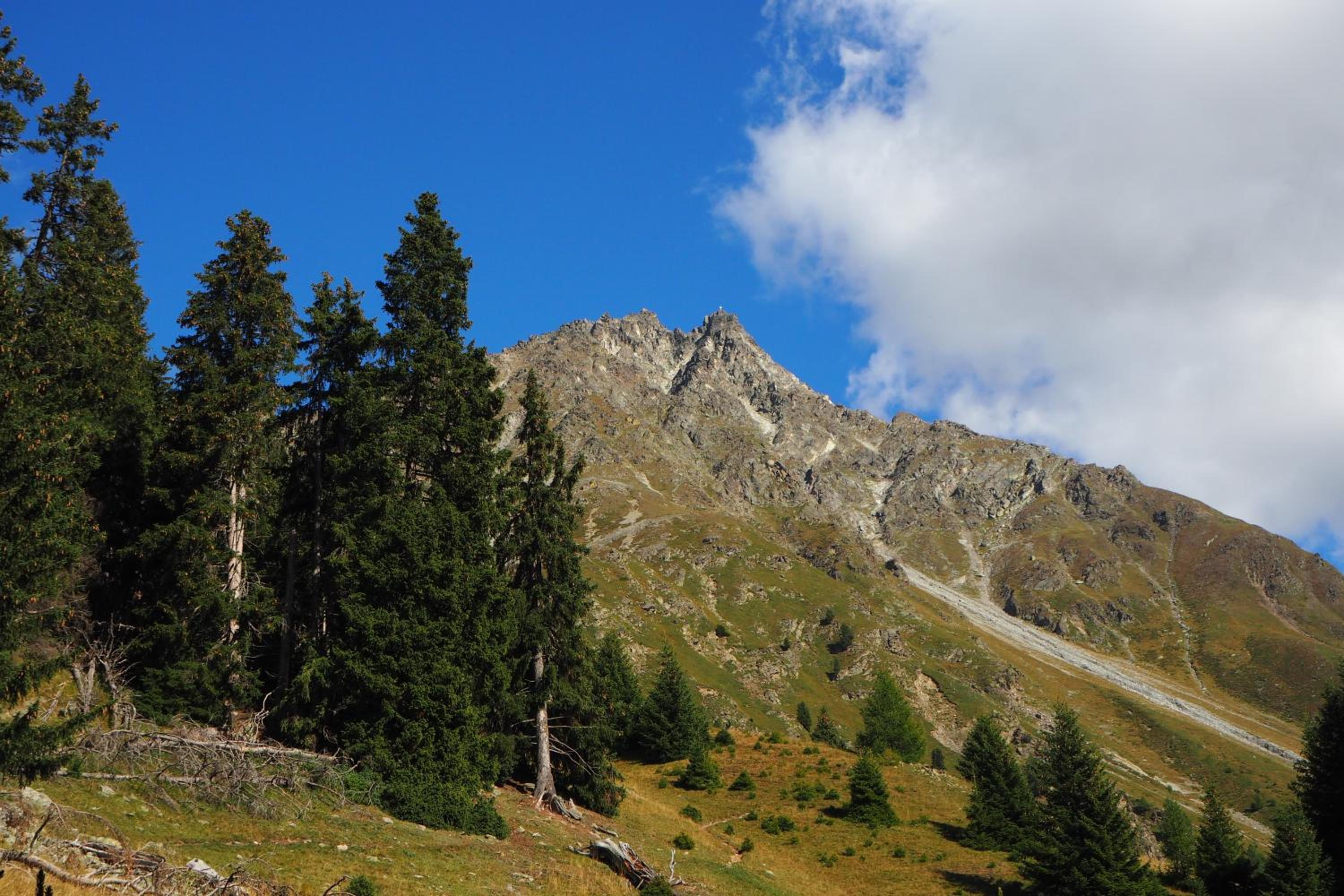 Valdafur Suites