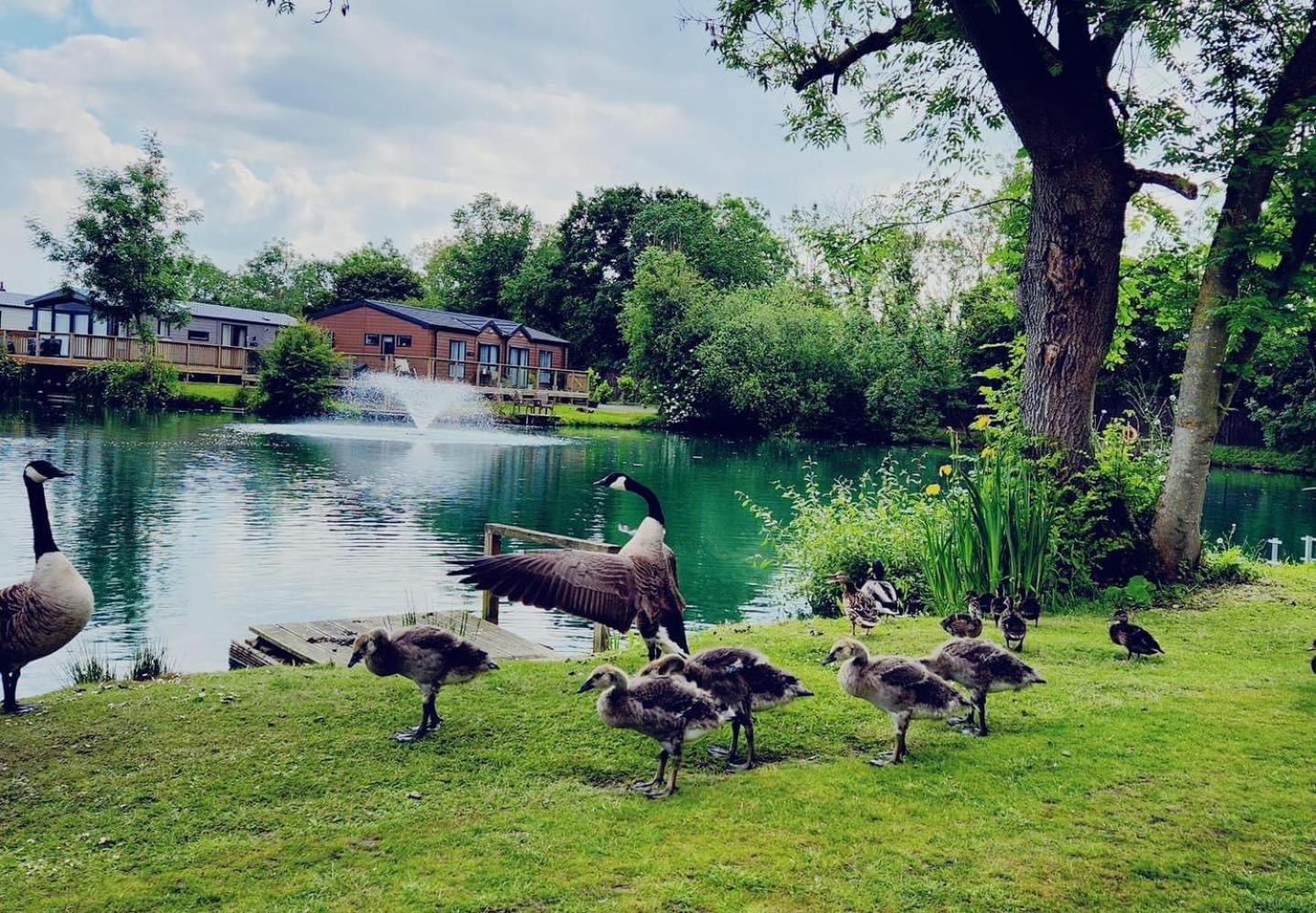 Lakefront Lodge 5 Star Country Park Private Fishing FREE Parking