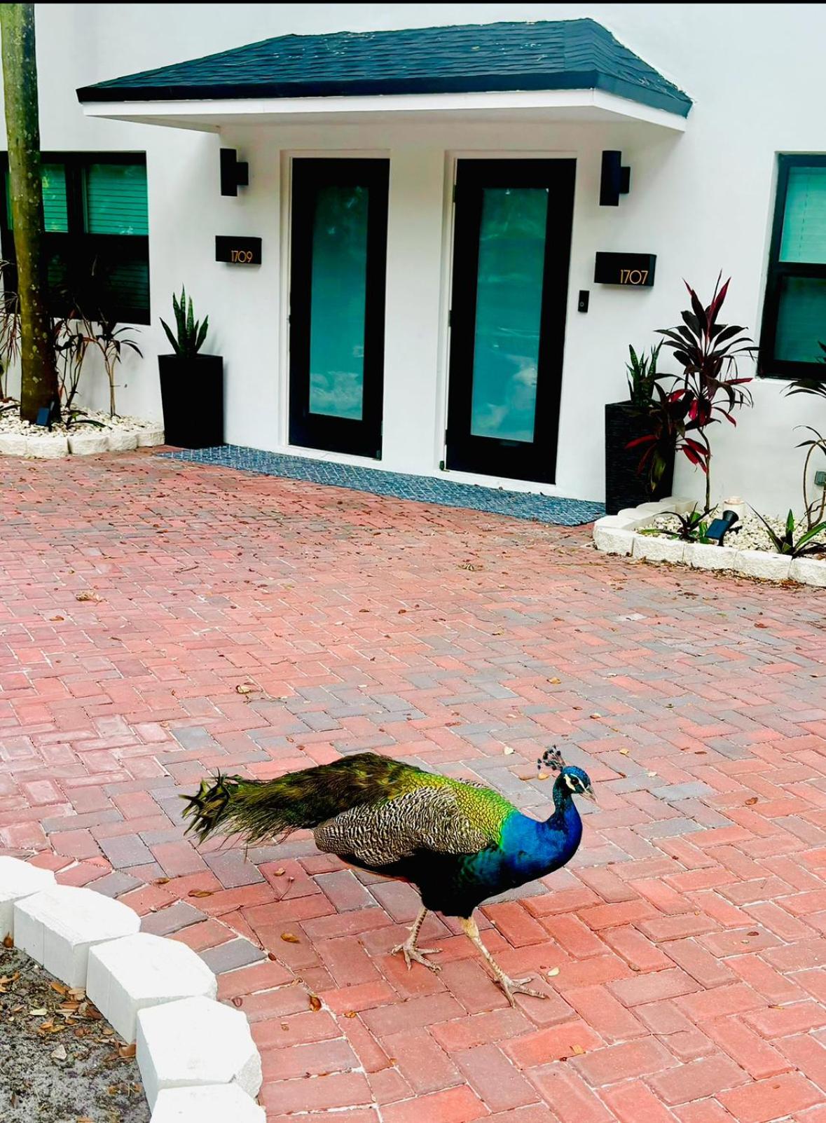 Luxury Townhome by Fort Lauderdale Beach & Downtown