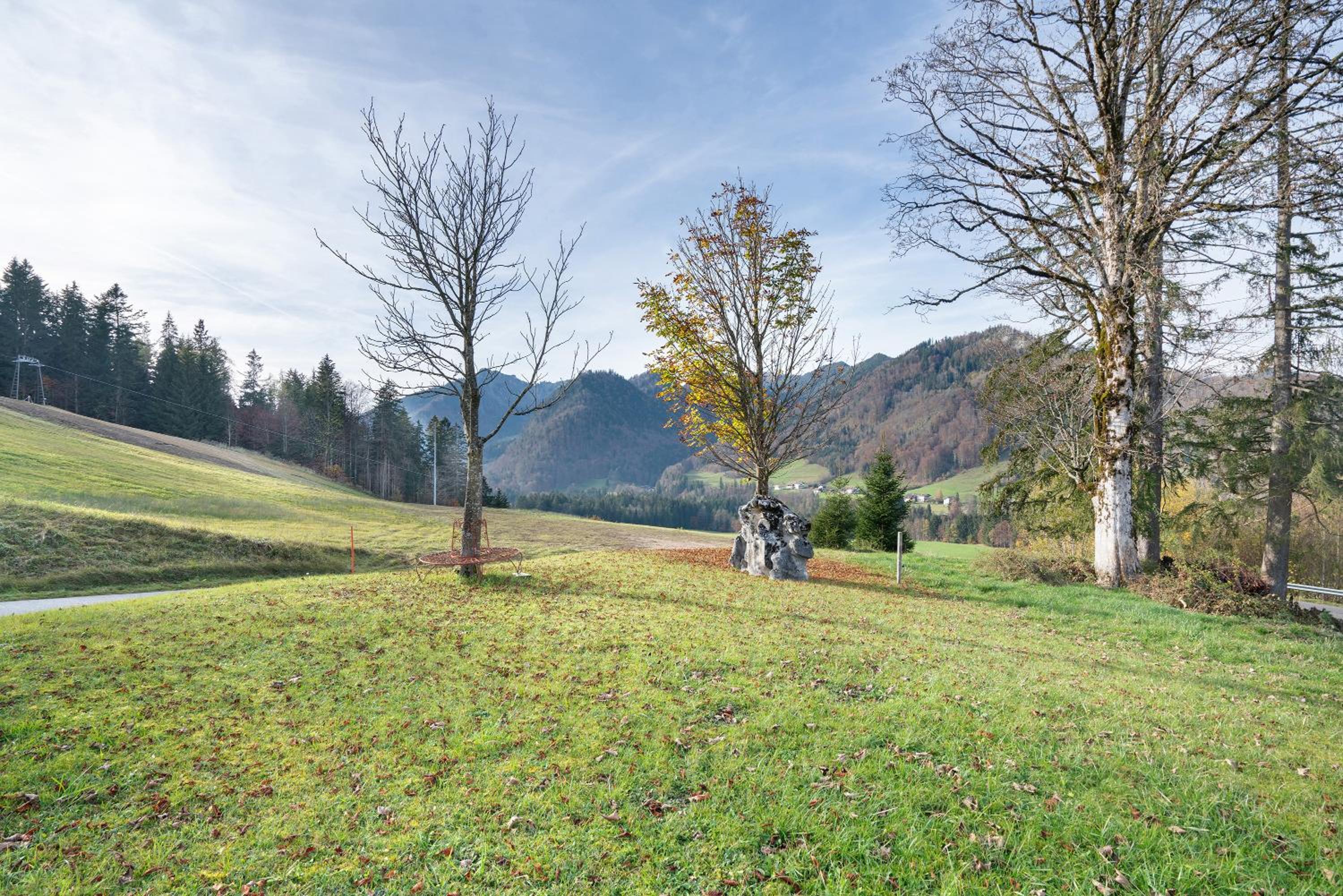 Ferienwohnung Rauschberg