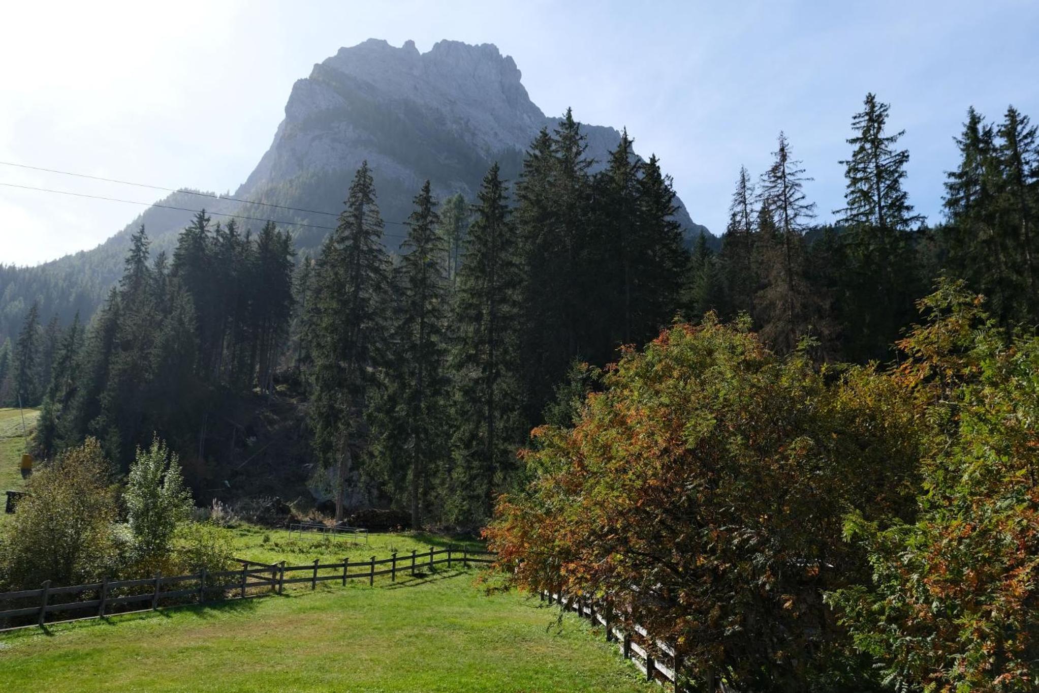 Photo 46