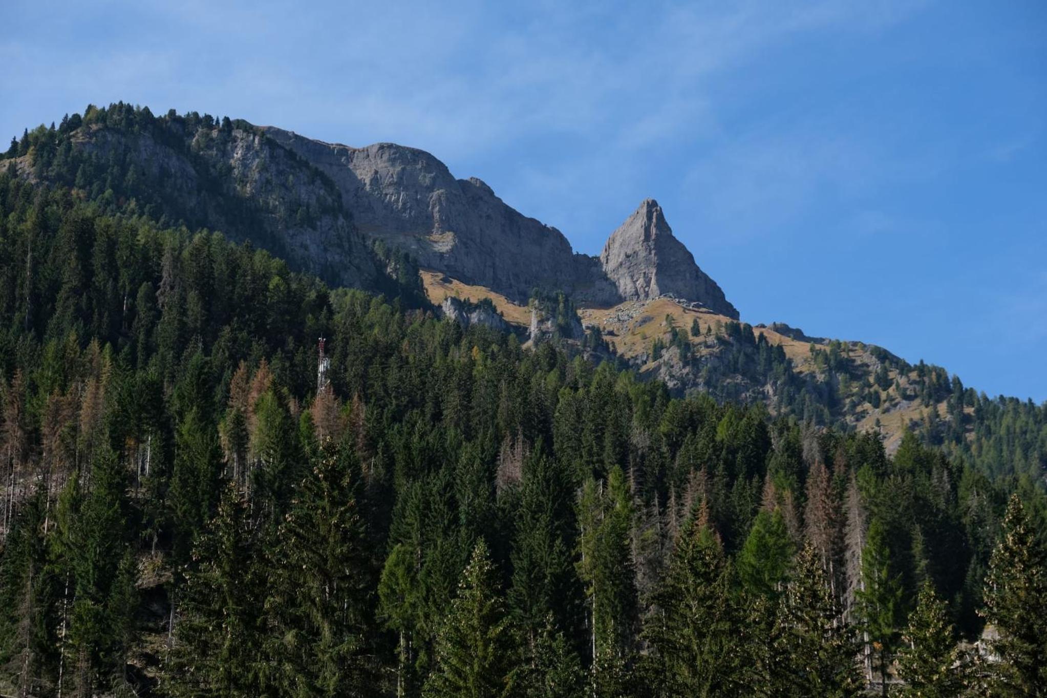 Photo 47