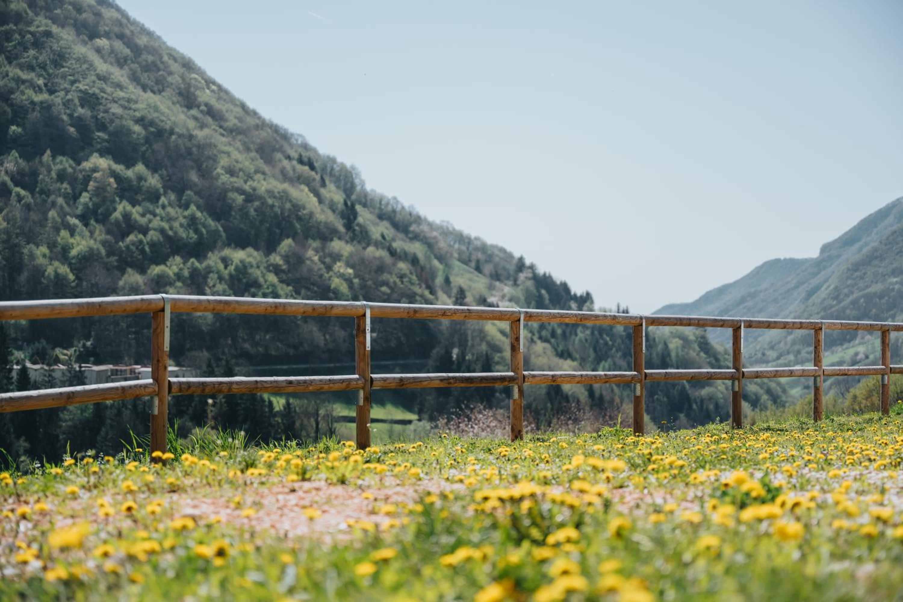 Agriturismo Angelino - Giazza Ljetzan