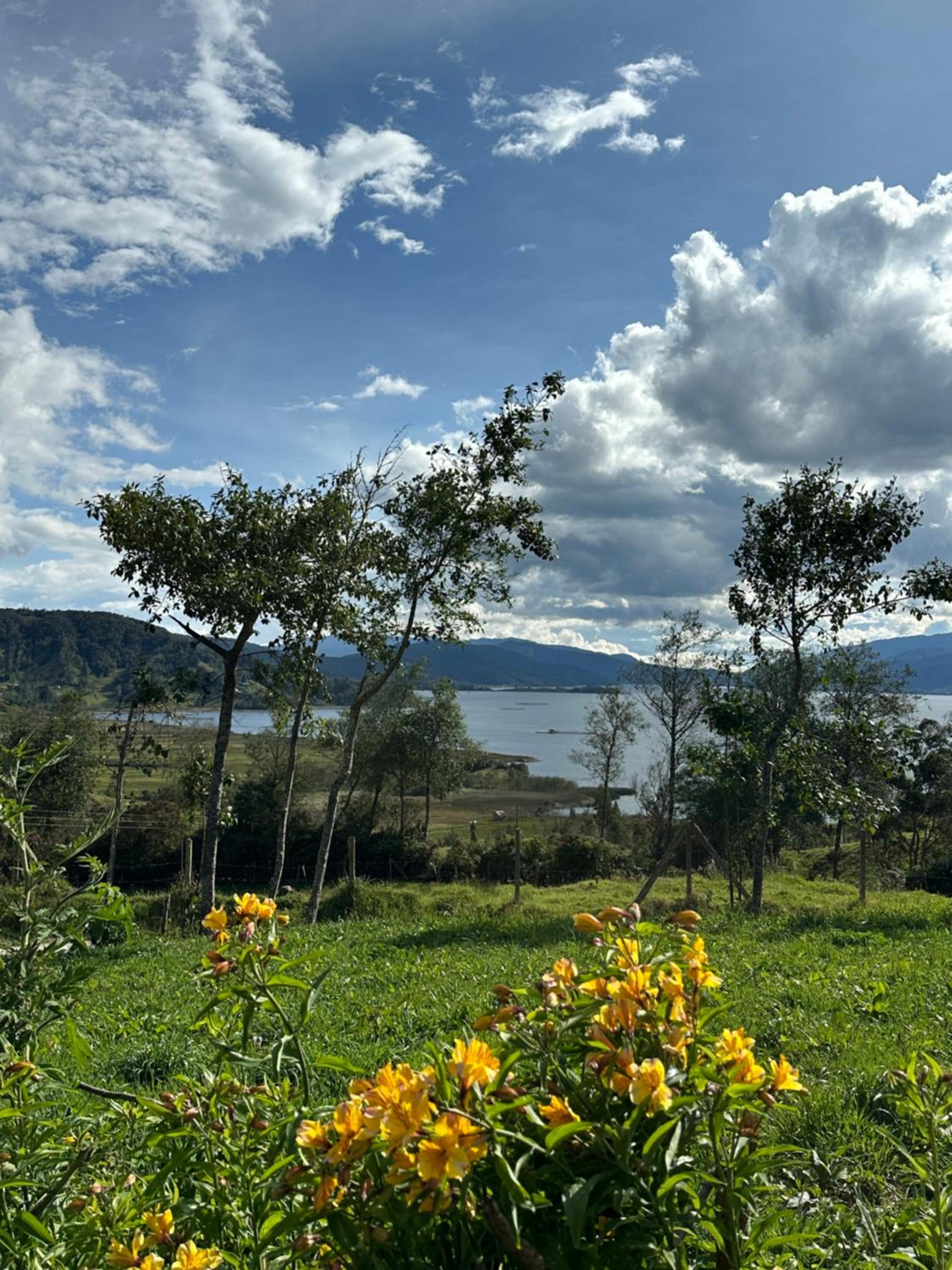 Vista al Lago, Cabaña Privada