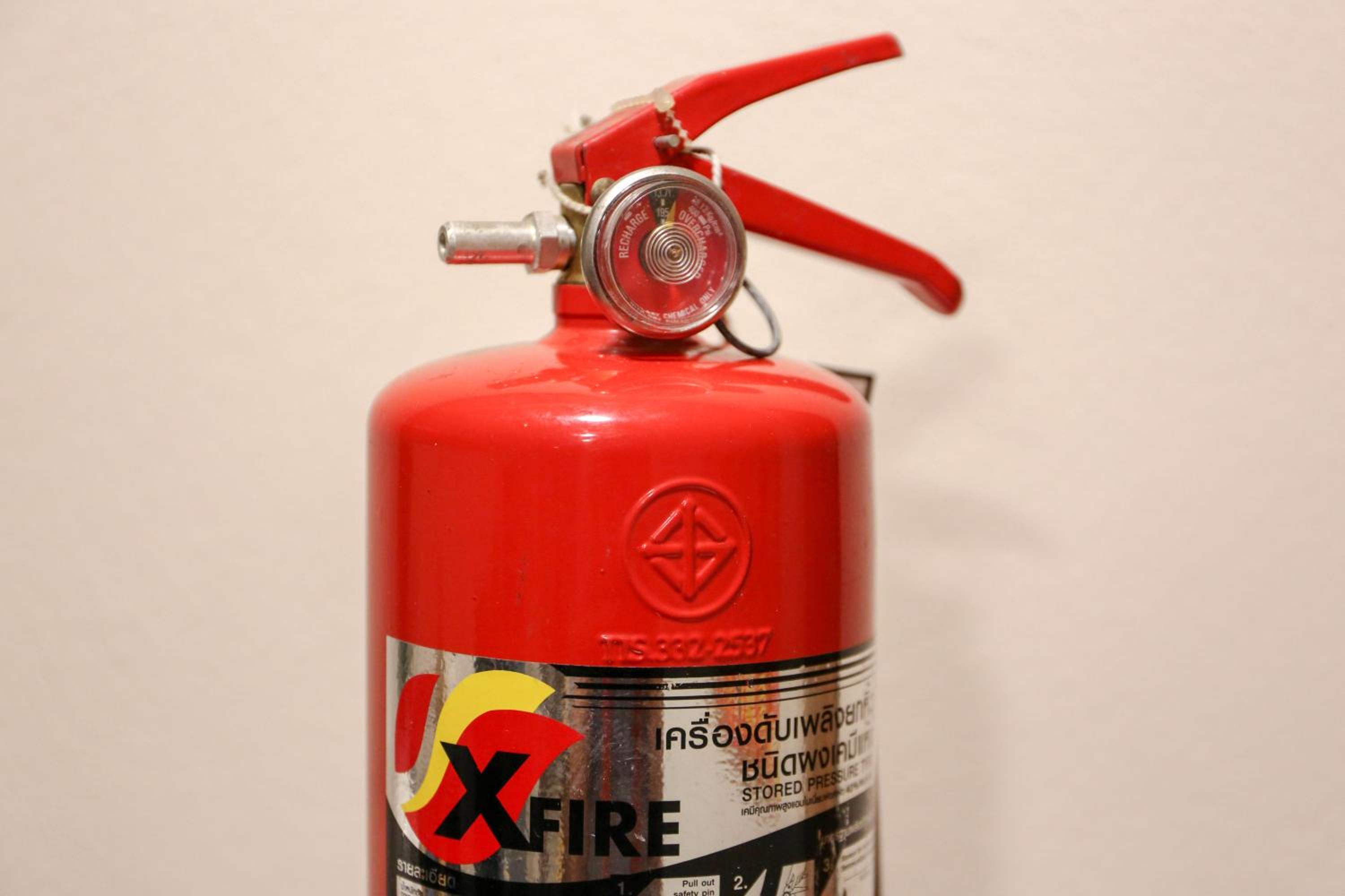 Photo 41