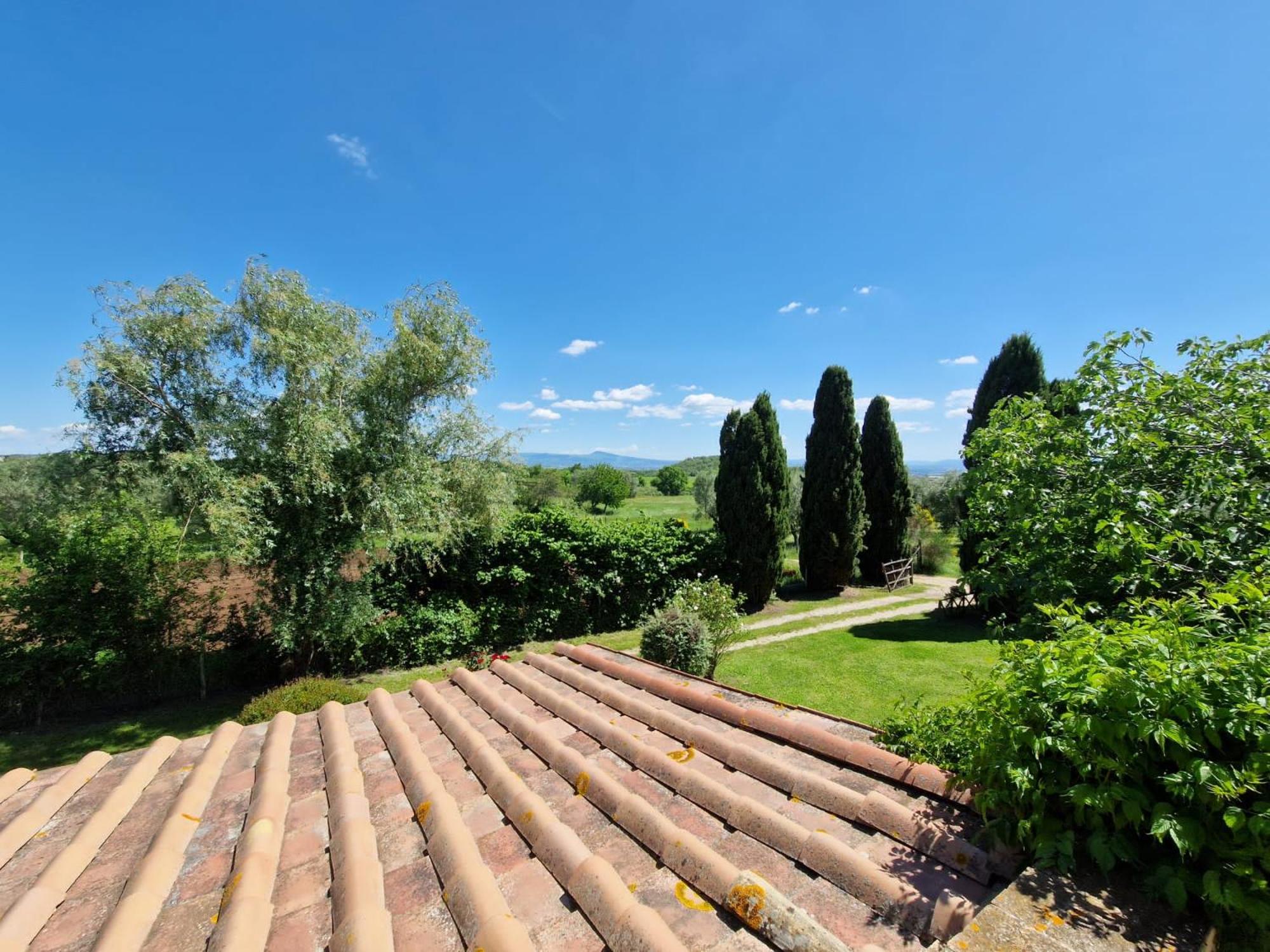 Photo 74