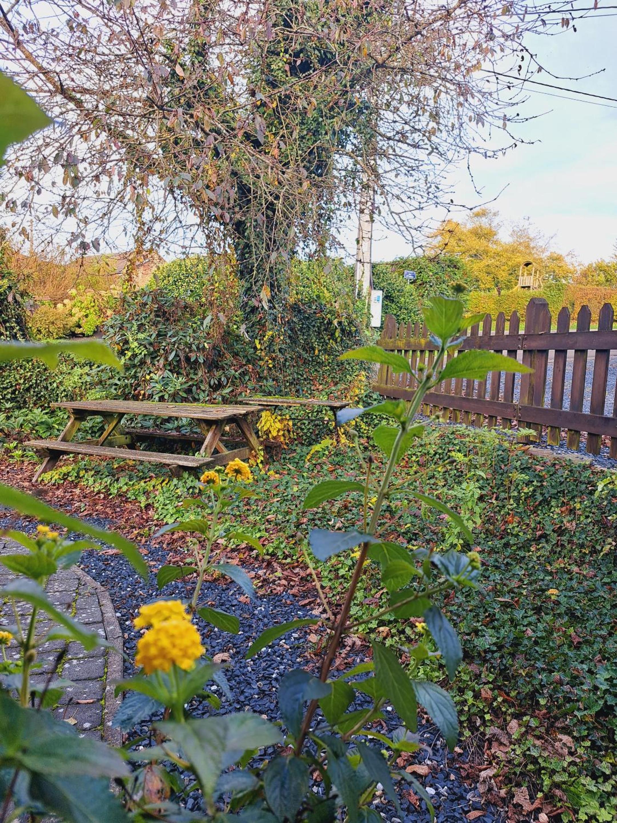 Gîte al fontaine