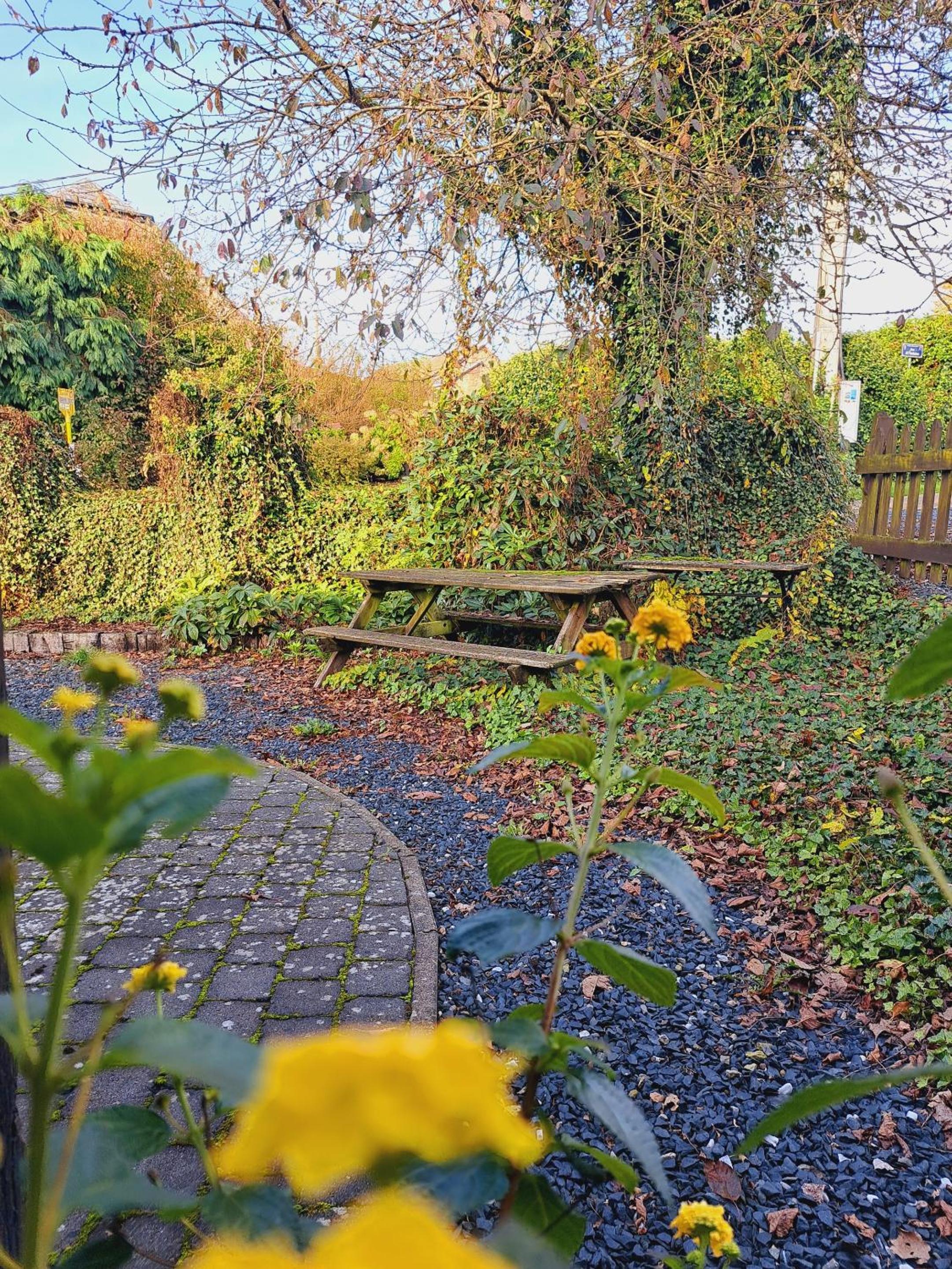 Gîte al fontaine