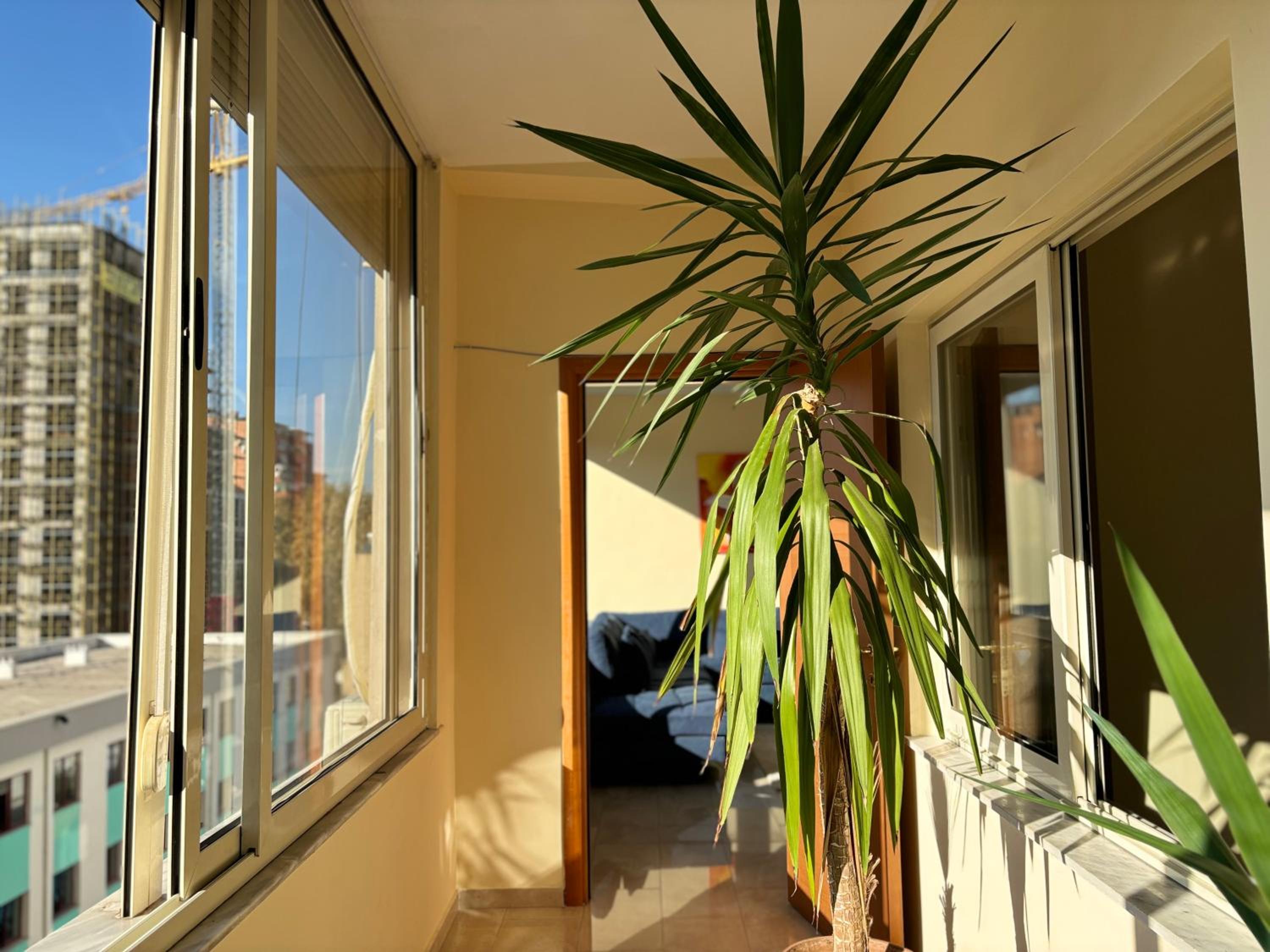 Next to Blloku 2-BDR Spacious Apartment