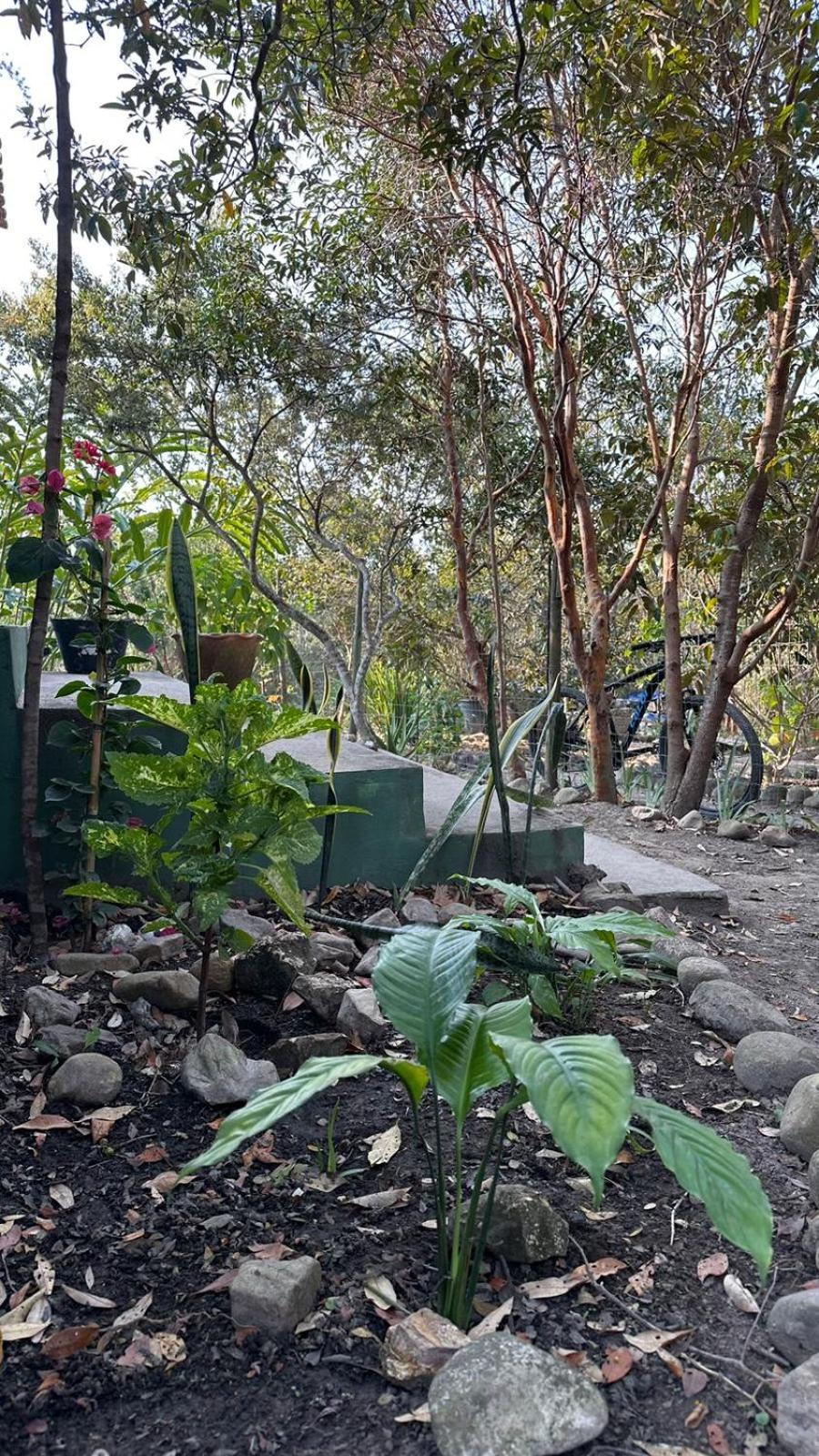 Vila Verde