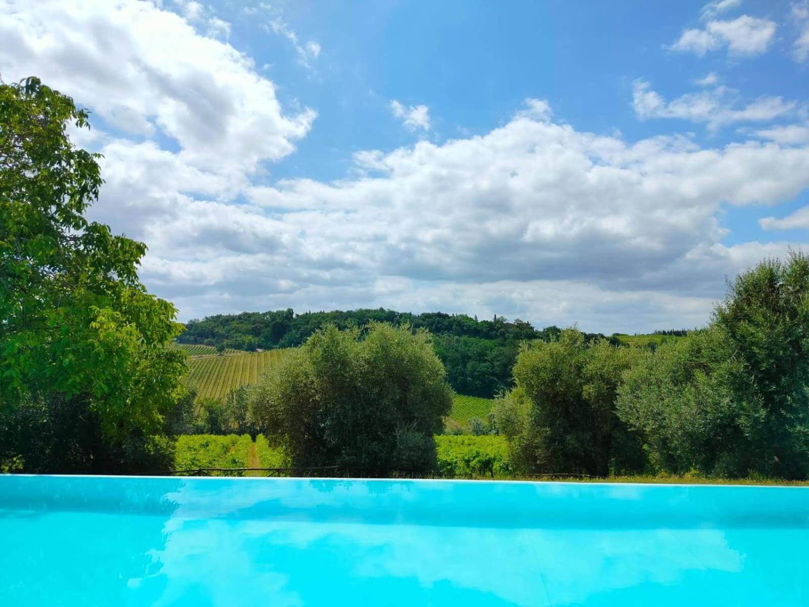 Luxury Villa Basilio Chianti view 2