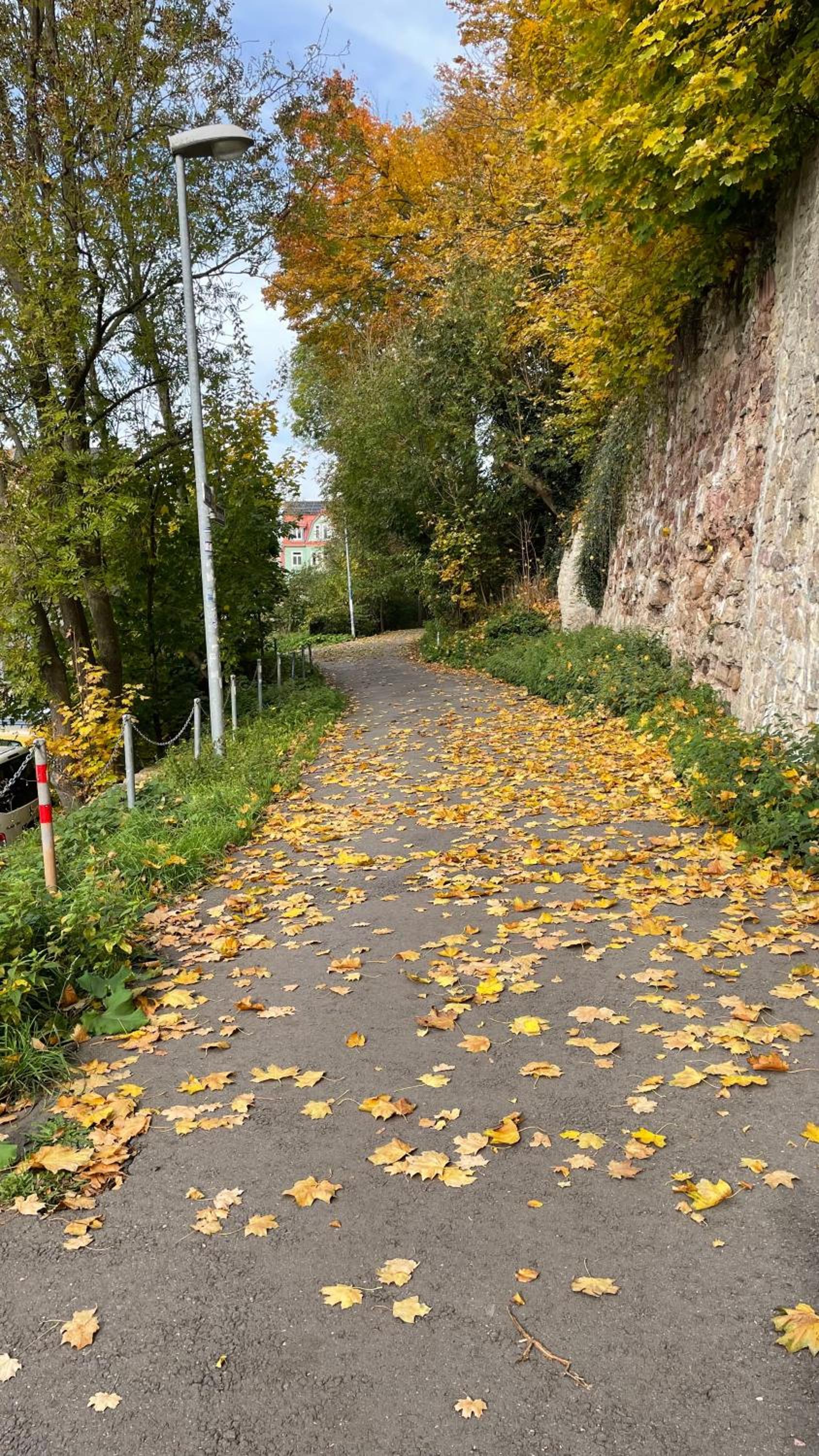 NEU! OASIS - FeWo am Harz, hochwertig Kernsaniert, 83 qm, EG