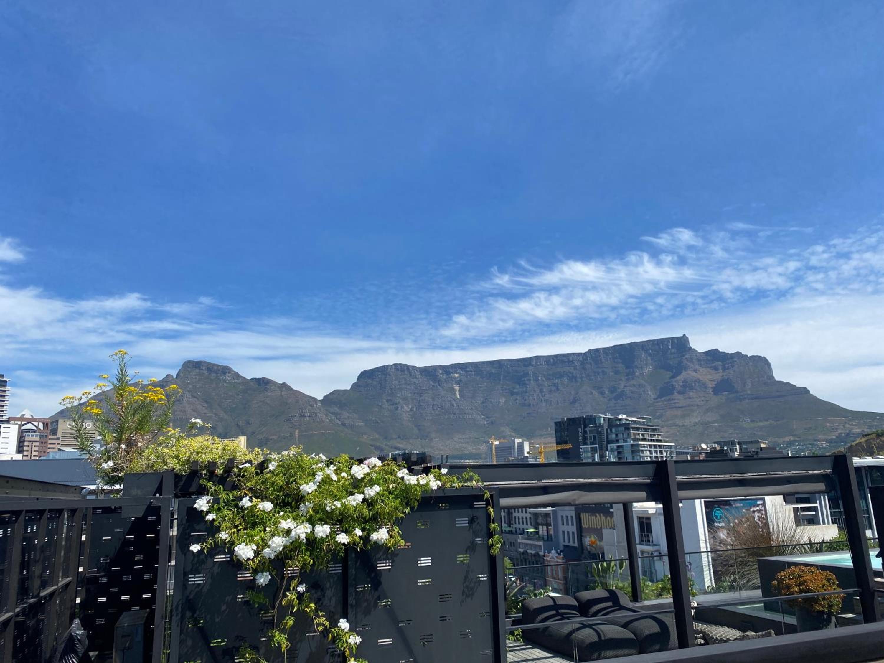 Penthouse with Private Pool Cape Town view 5