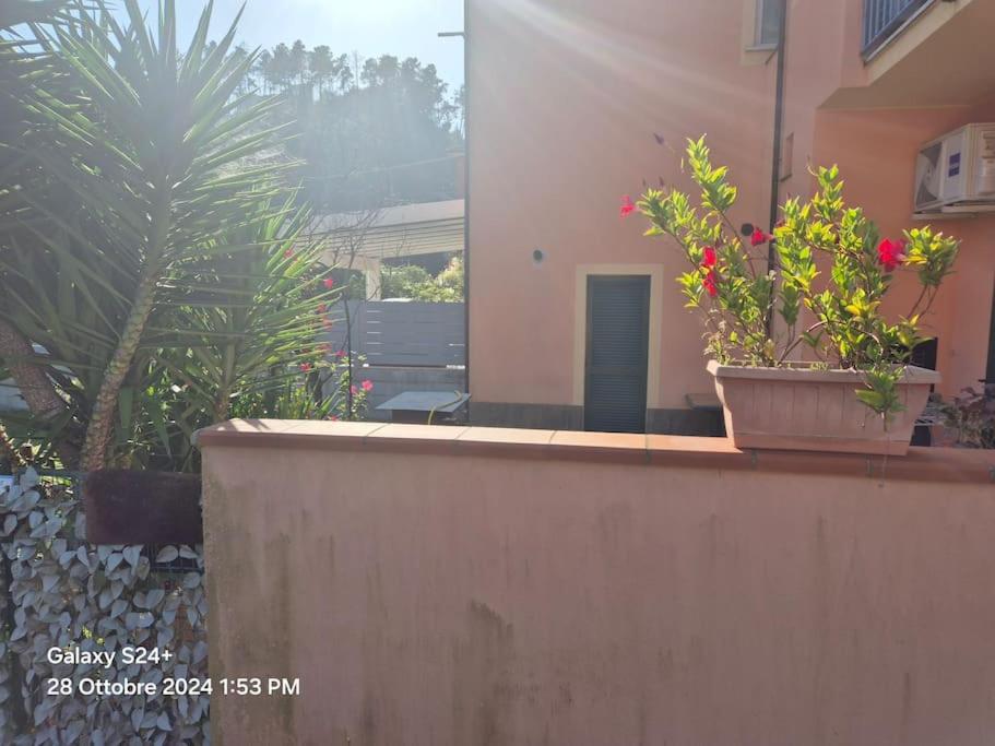 ExecutiveFlat DaMonica -10guests