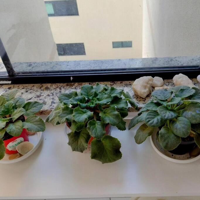 Apartamento em Águas Claras - Cidade jovem e linda