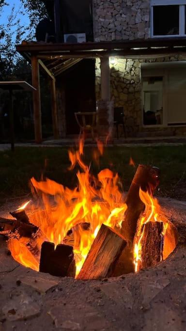 Photo 8