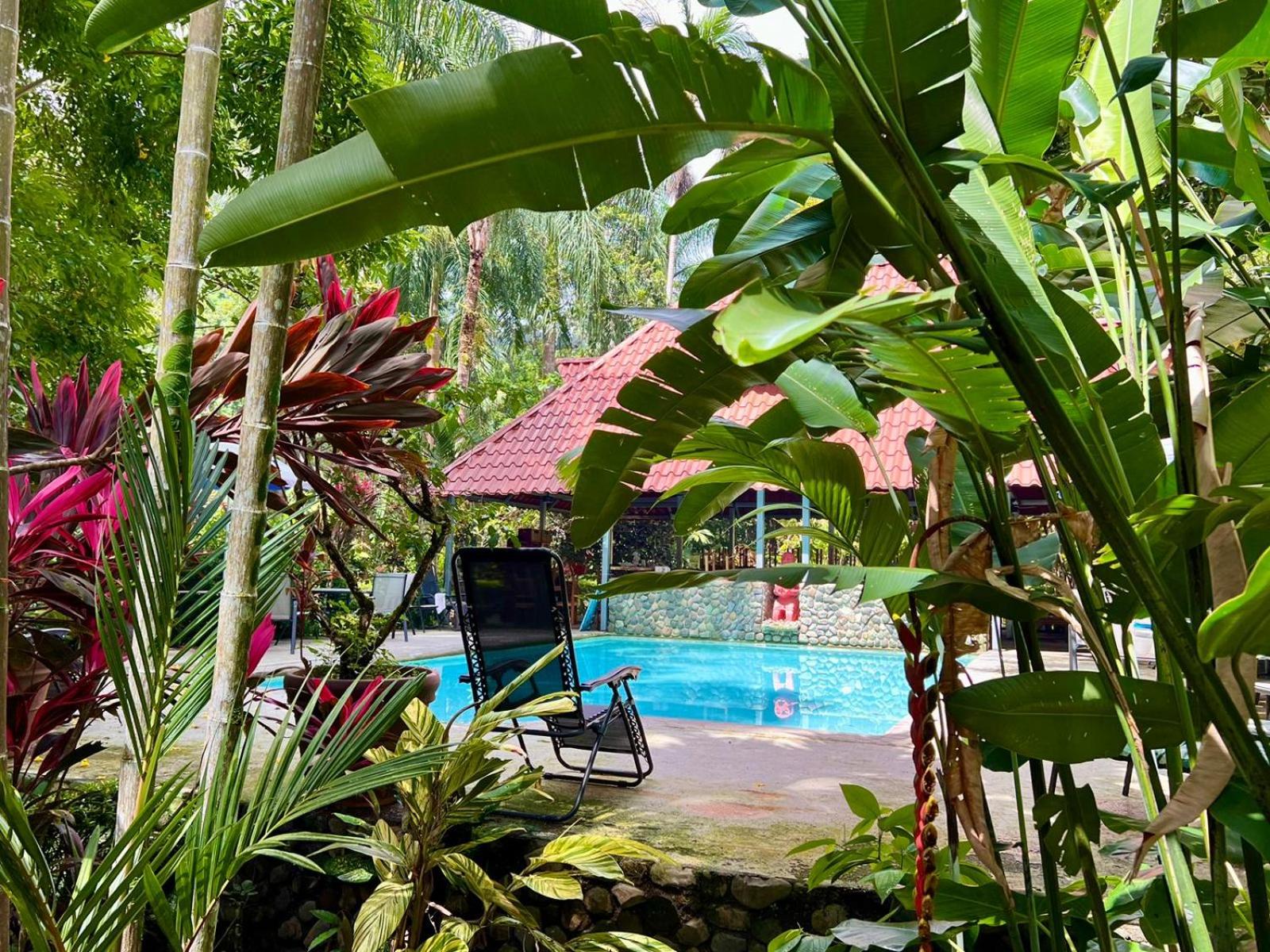 Eco Zaru, Experience Authentic Costa Rican Jungle & Ocean Bliss