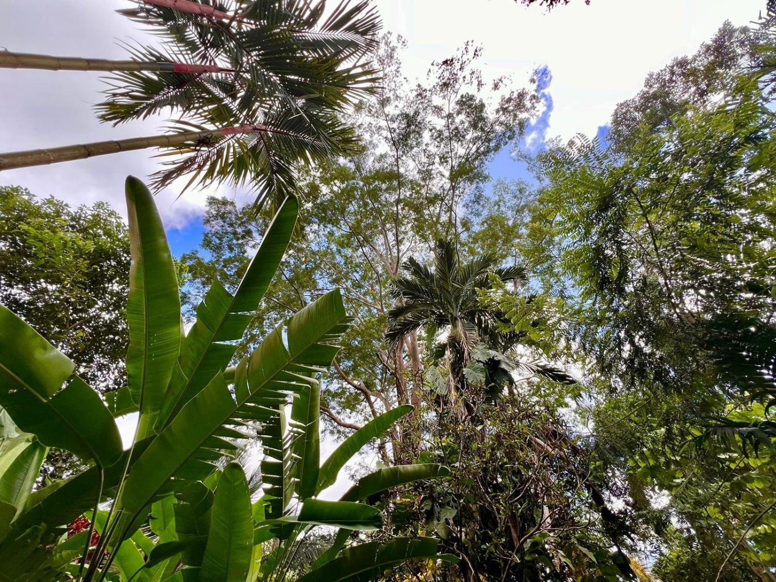 Eco Zaru, Experience Authentic Costa Rican Jungle & Ocean Bliss