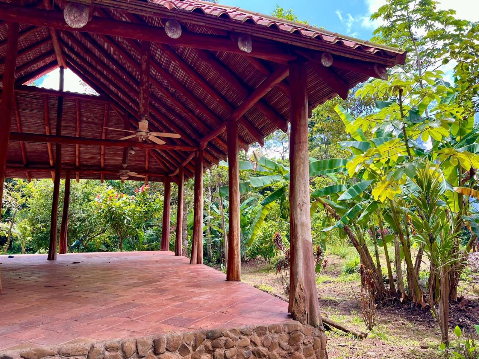 Eco Zaru, Experience Authentic Costa Rican Jungle & Ocean Bliss