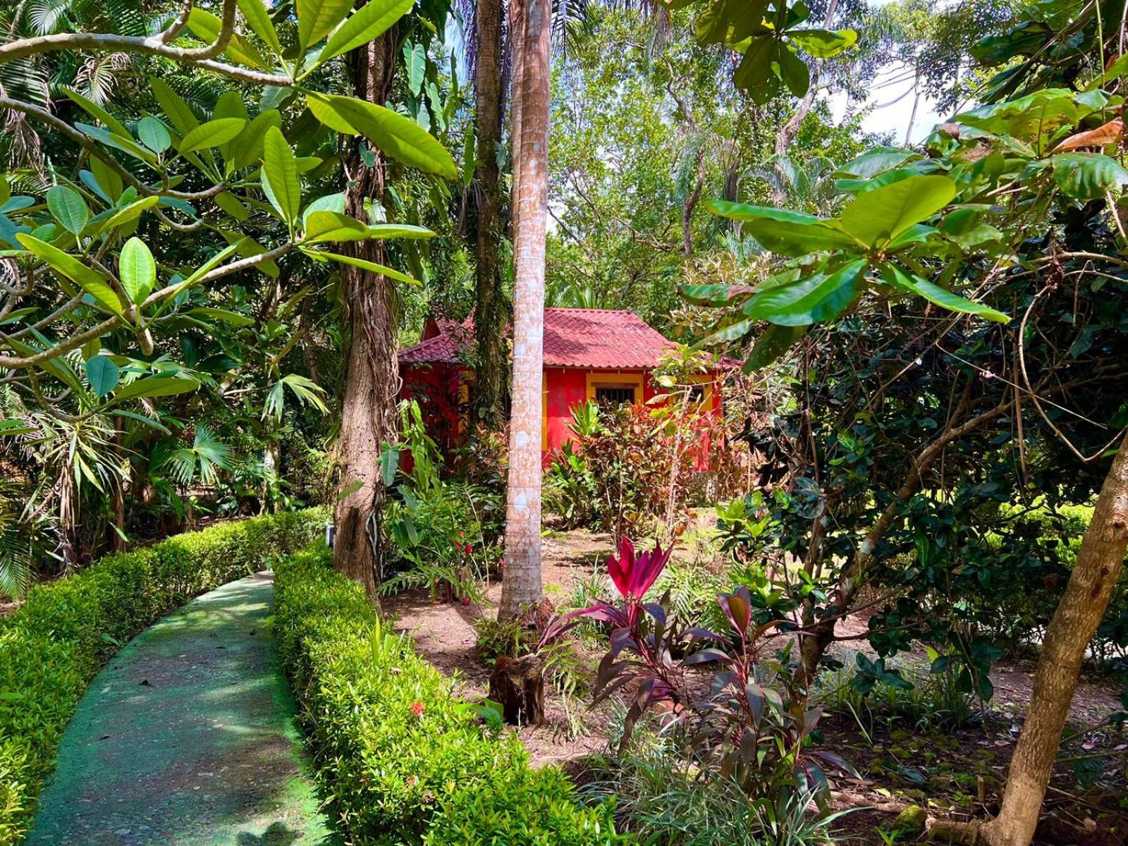Eco Zaru, Experience Authentic Costa Rican Jungle & Ocean Bliss