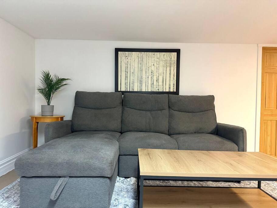 Spacious APT Little Italy, 1 king BR, 3beds, yard