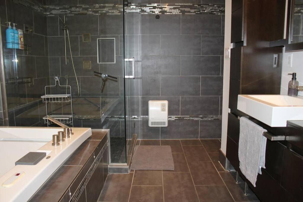 Spacious APT Little Italy, 1 king BR, 3beds, yard