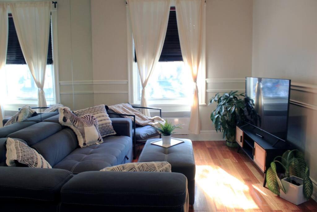 Spacious APT Little Italy, 1 king BR, 3beds, yard