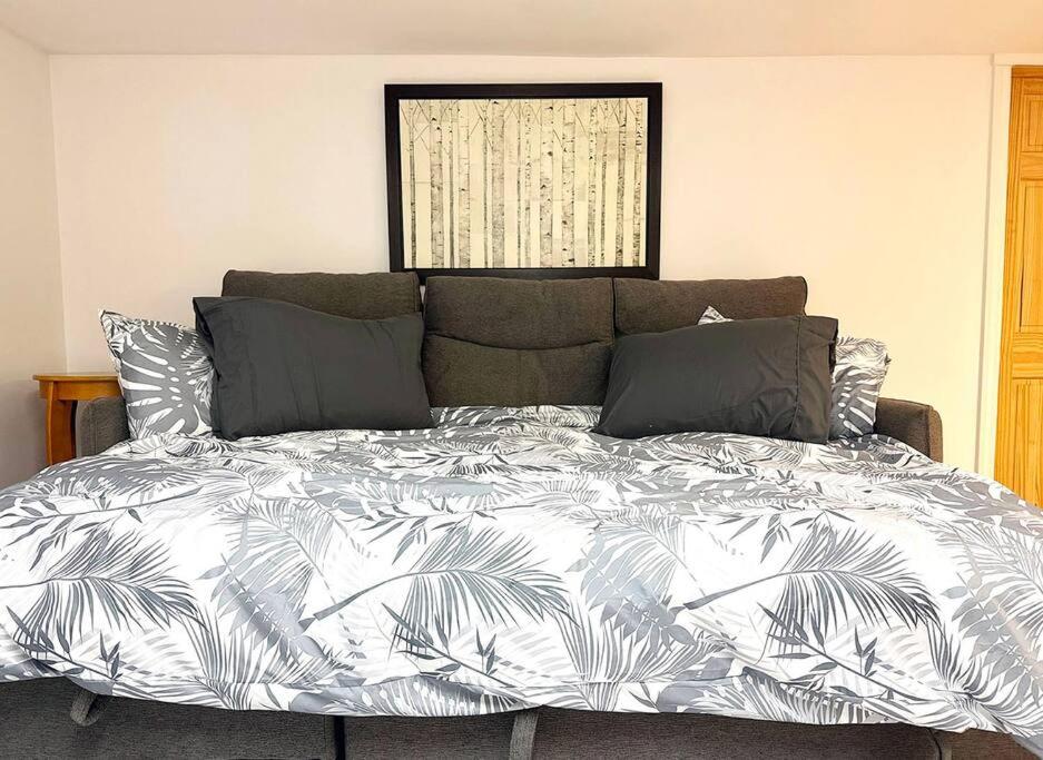 Spacious APT Little Italy, 1 king BR, 3beds, yard