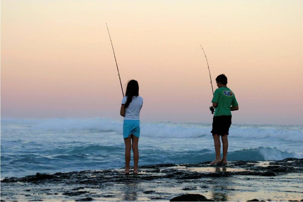 Seaview Sunsets