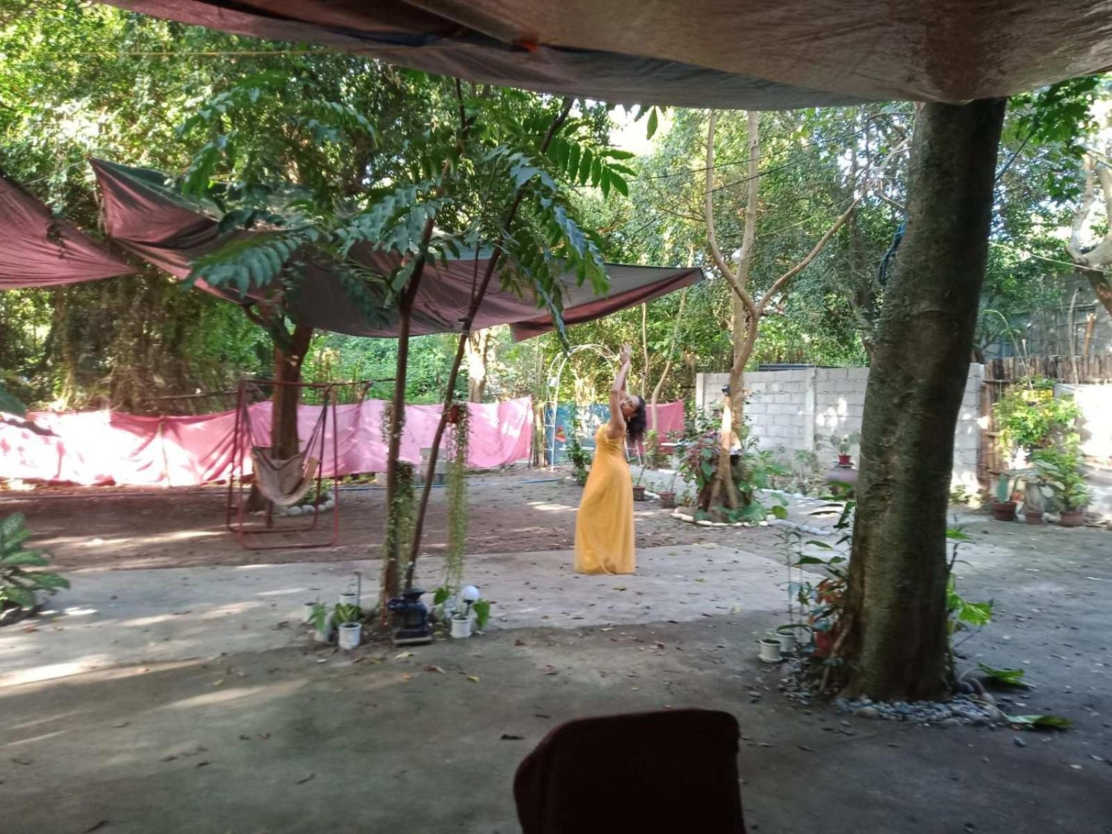 Photo 236