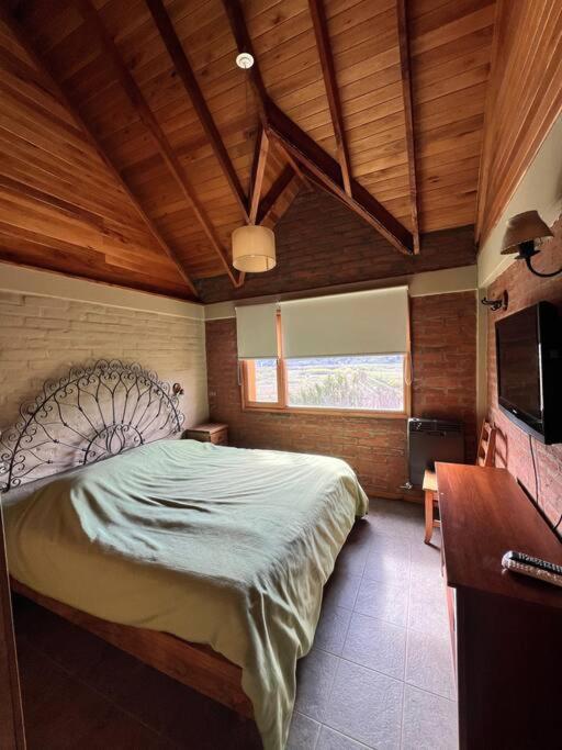 Hermosa Casa en faldeos de chapelco