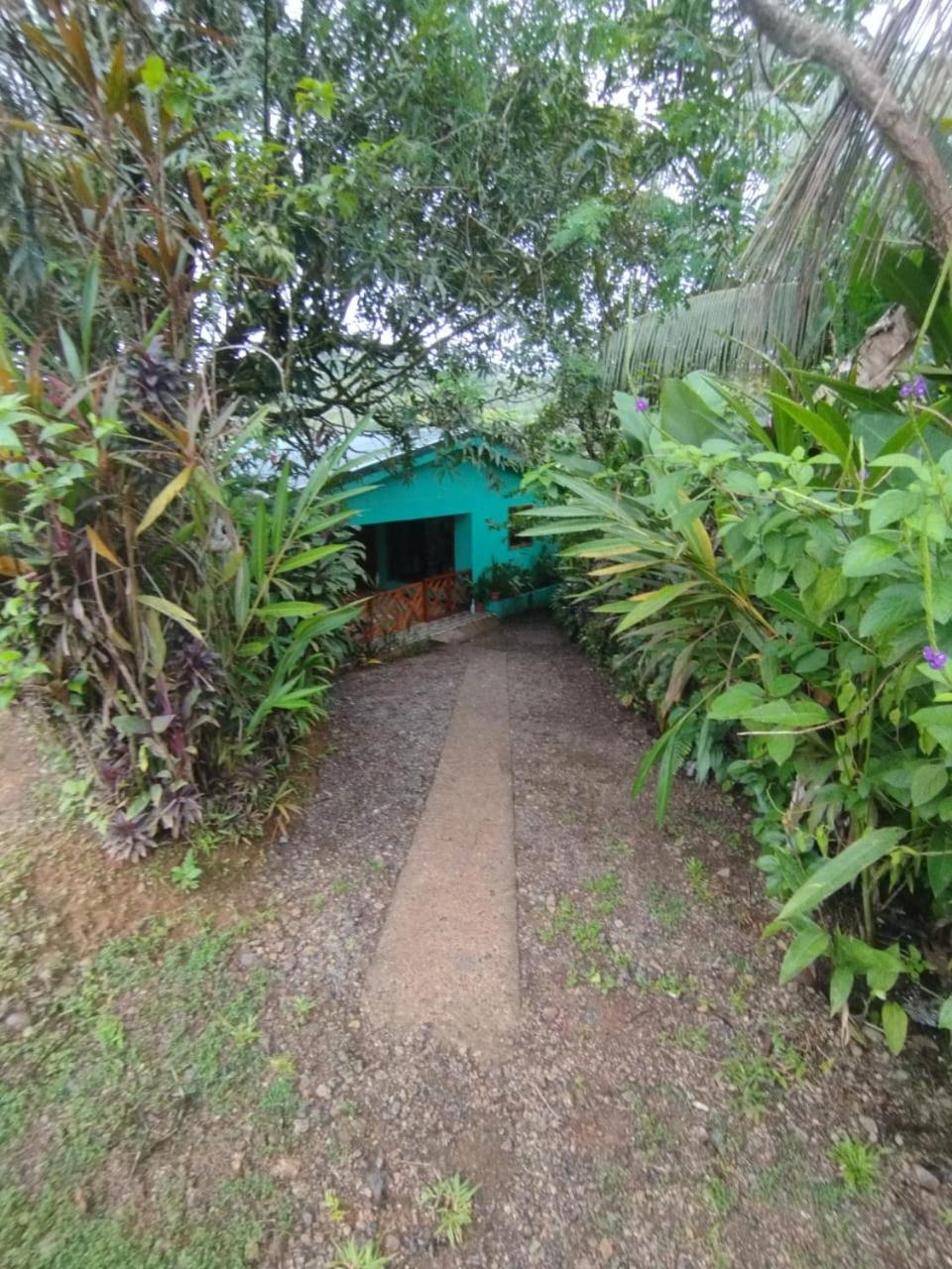 Corcovado Villa Tucán