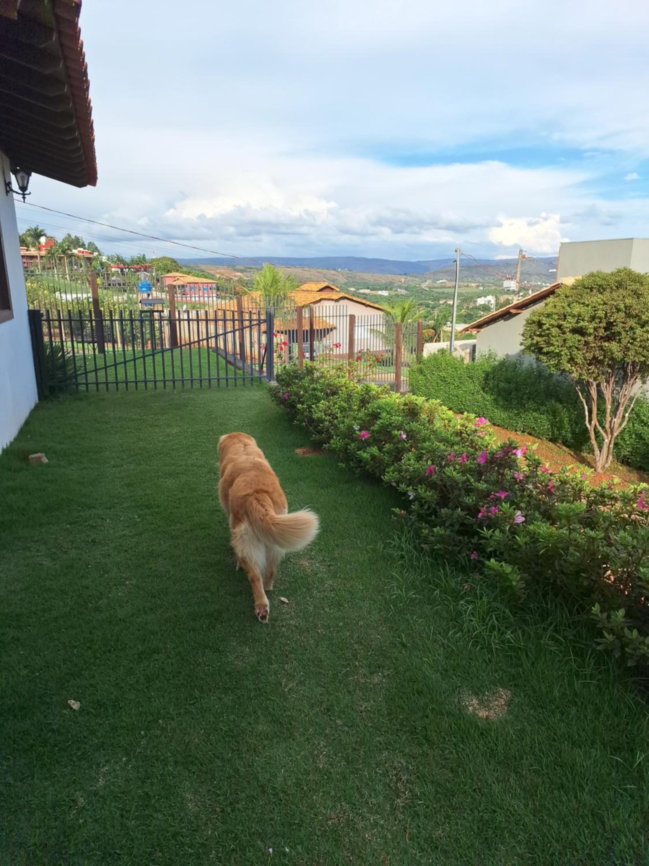 Max Suíte