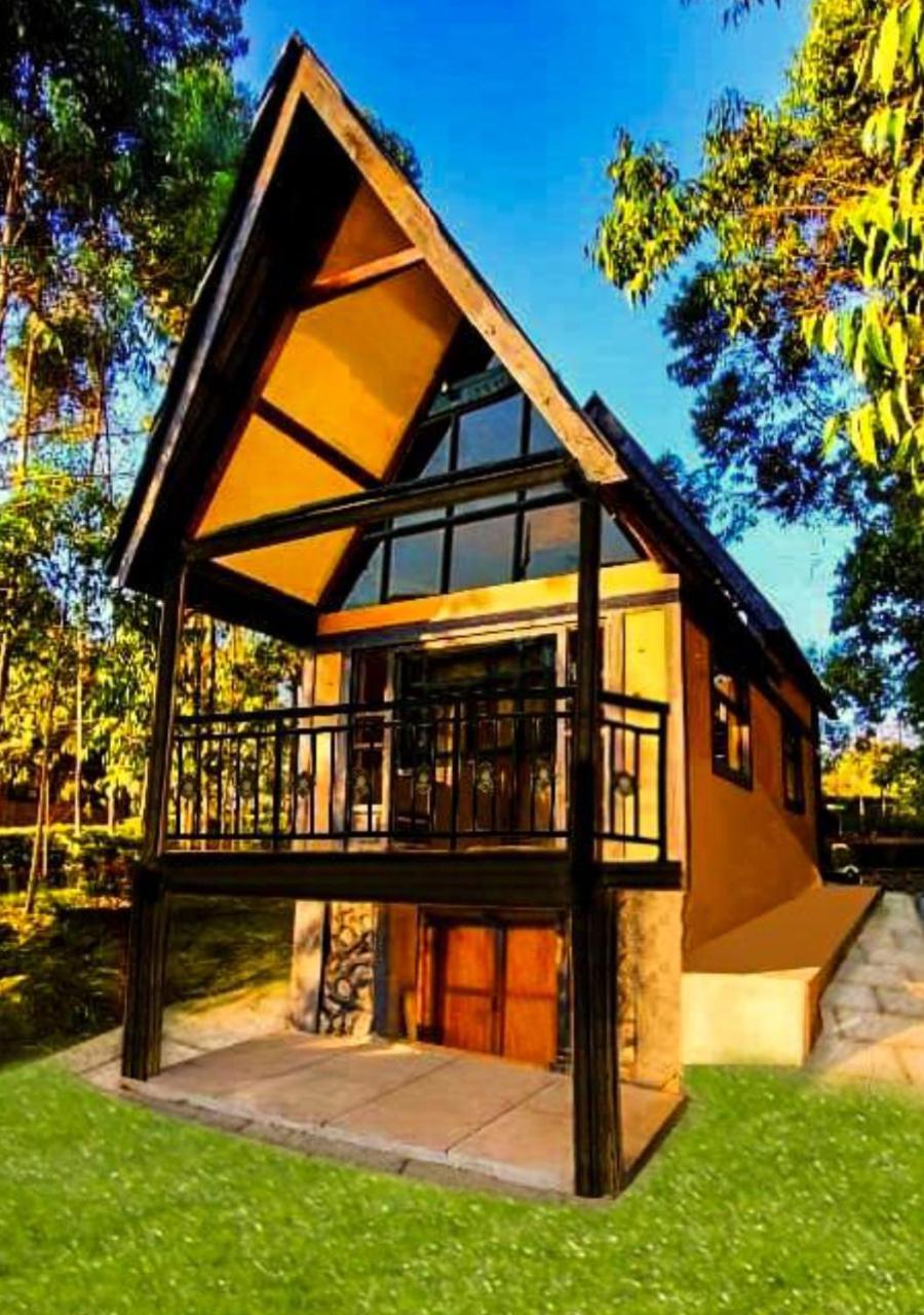 Shamba Lodge Cabin X view 3