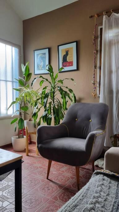 Bella Casa petfriendly cerca de todo y cochera