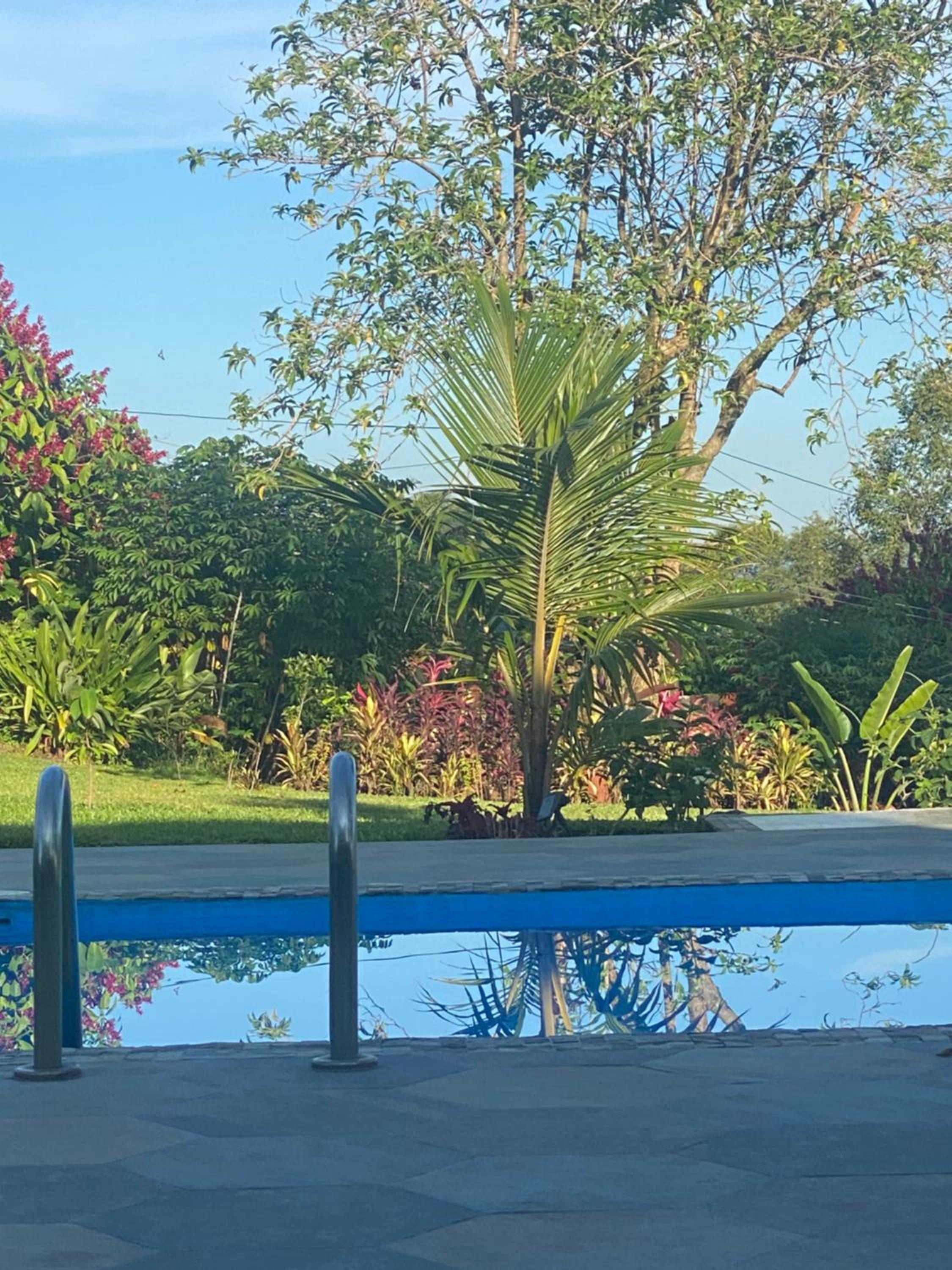 Casa Marigold -Apartamento Bondad