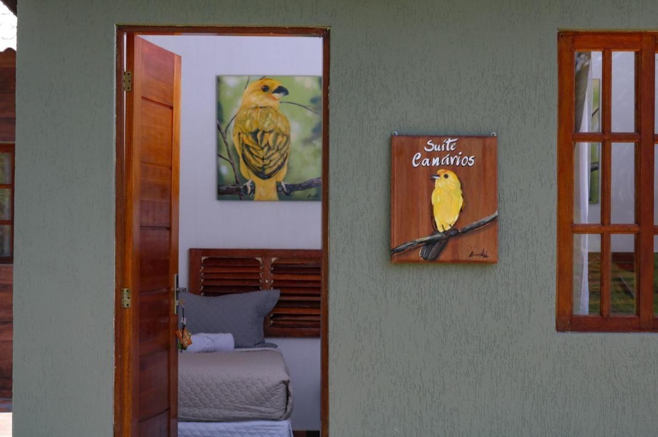 Art Green Teresópolis