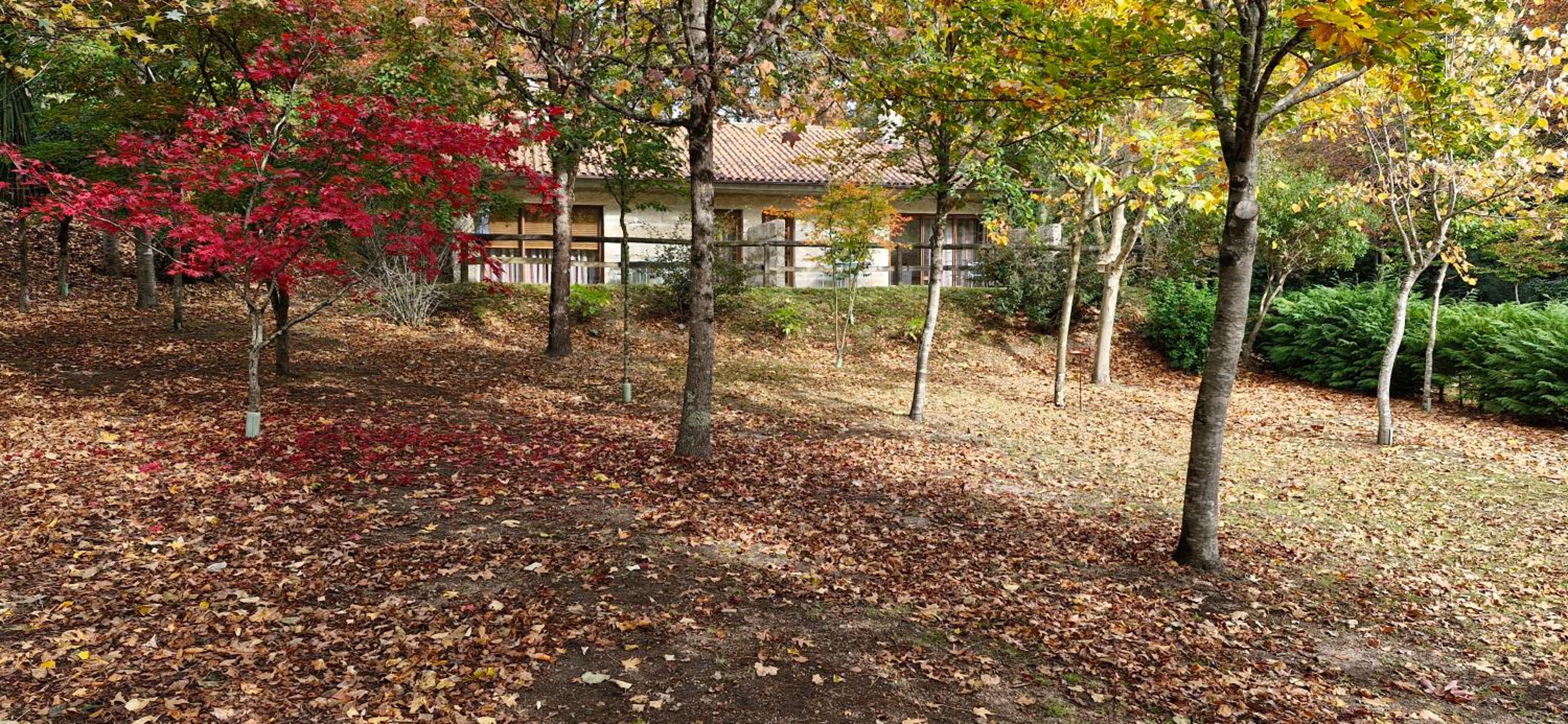 Photo 41