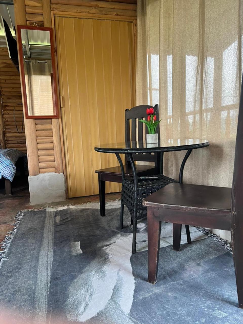 Cabañas venado 2