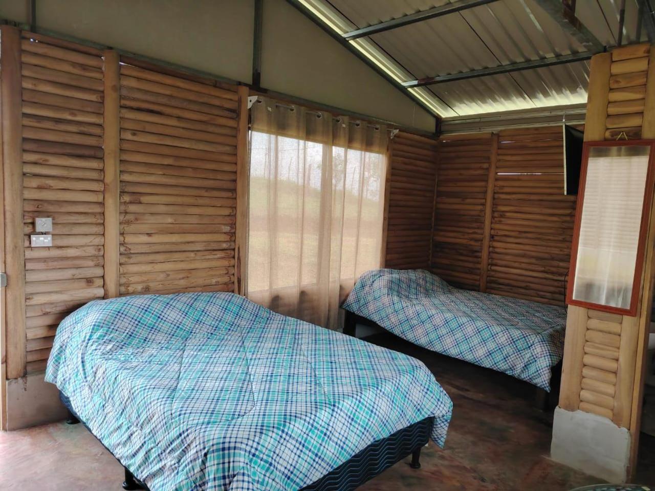 Cabañas venado 2