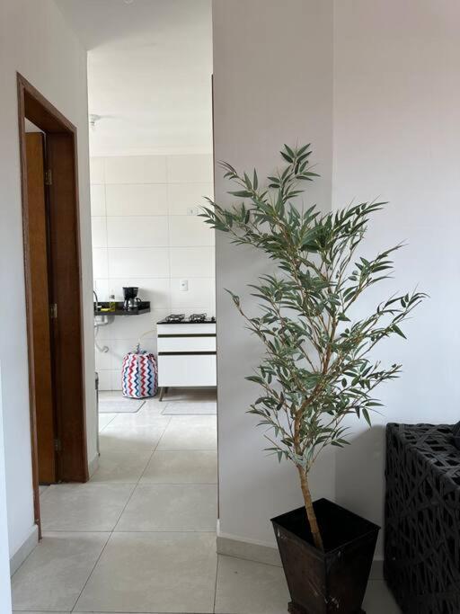 2 - Casa 5 pessoas - Praia Guilhermina
