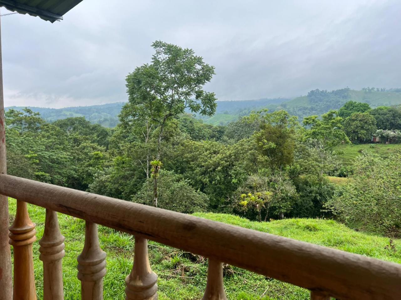 Cabañas venado 2