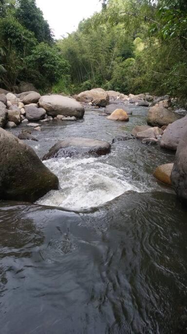 Finca Leito