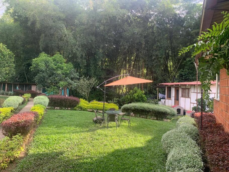 Finca Leito