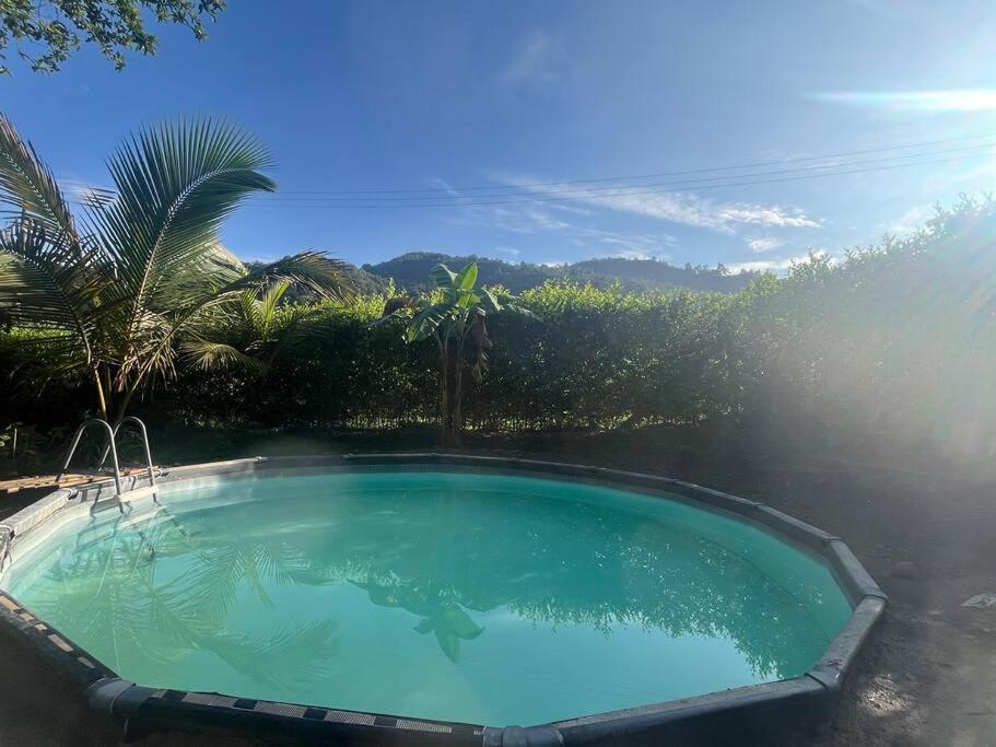 Finca Leito